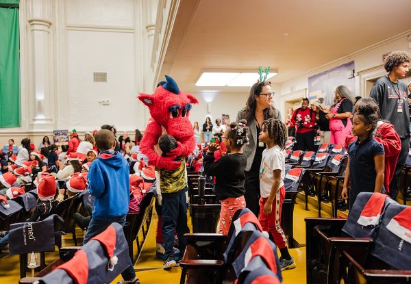 Daisie Foundation Christmas Chicago 2025